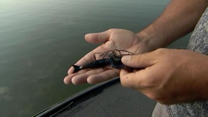 What Makes the Berkley Power Stinger The BEST Slobberknocker Trailer