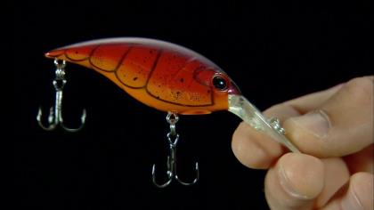 Why the Berkley Money Badger is STRAIGHT MONEY