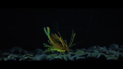 Berkley's Bass Jigs Offer A Perfect Technological PUNCH IN THE FACE