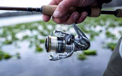 Shimano Sedona FJ spinning reel