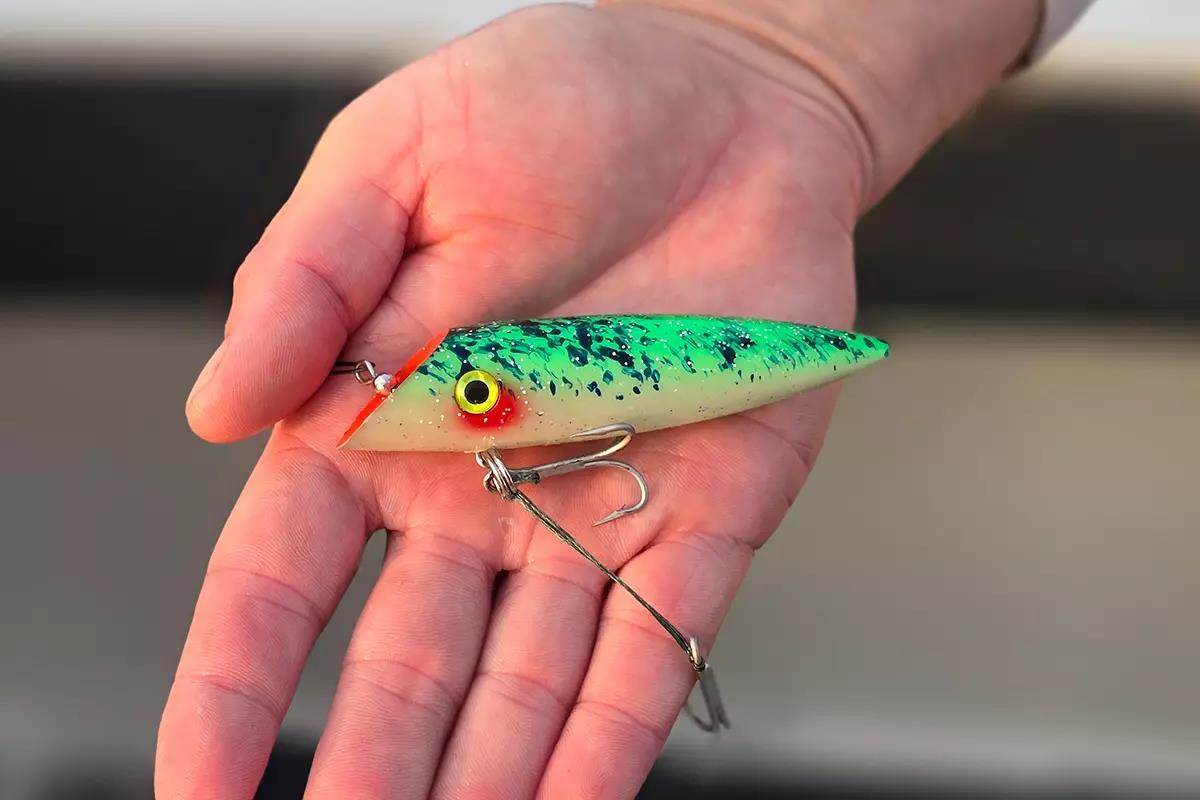 03-big-water-salmon-salmon-troll-plug