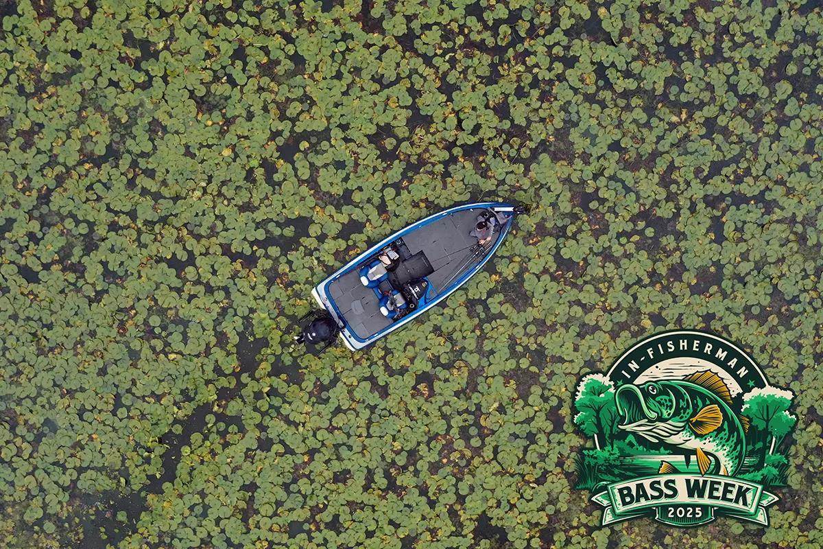 Bass Week 2025: Summer Froggin'–Rule the Slop for Largemouths