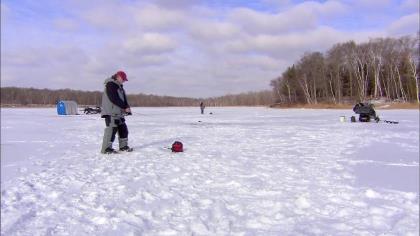 New Strategies of Tip-Up Pike